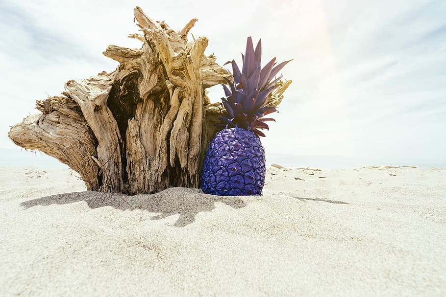 purple pineapple beside brown woodcraft on sand during daytime, brown wooden decor HD wallpaper