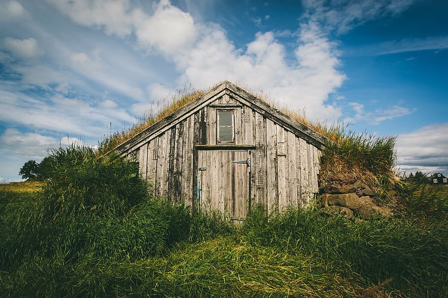 brown wooden storage house surrounded by green grass, grassland HD wallpaper