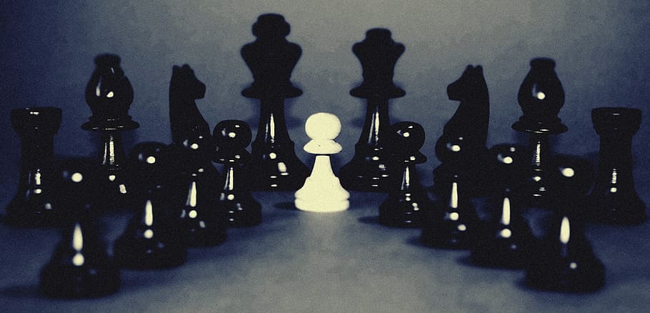 white, black, chess, indoors, chess pieces, close -up, pawn, queen HD wallpaper