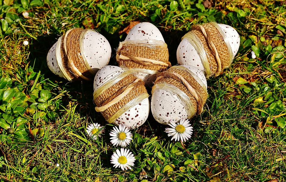 five white Easter eggs on the ground, meadow, spring, happy easter HD wallpaper
