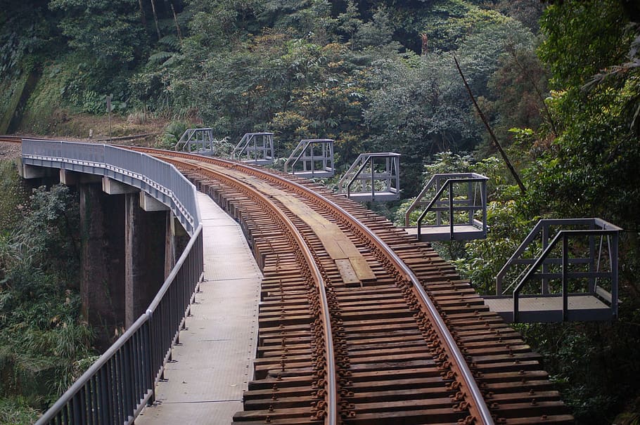bridge, rail, rail transportation, plant, connection, track HD wallpaper