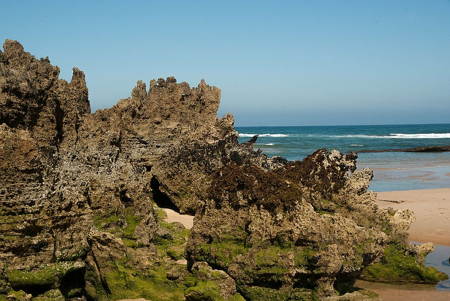 ocean, beach, tide, rocks, erosion, algae, sea, coastline, nature HD wallpaper