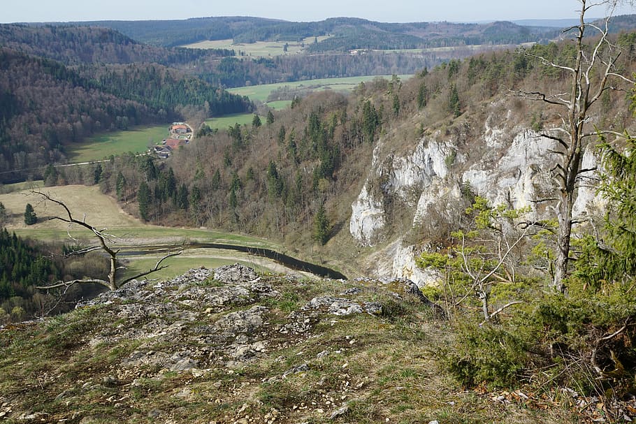 danube valley, forest, river, rock, beauty in nature, mountain HD wallpaper