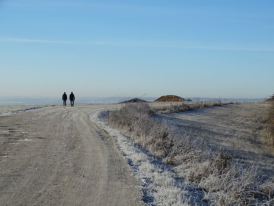 frost, away, road, winter, cold, sky, frozen, hoarfrost, december HD wallpaper