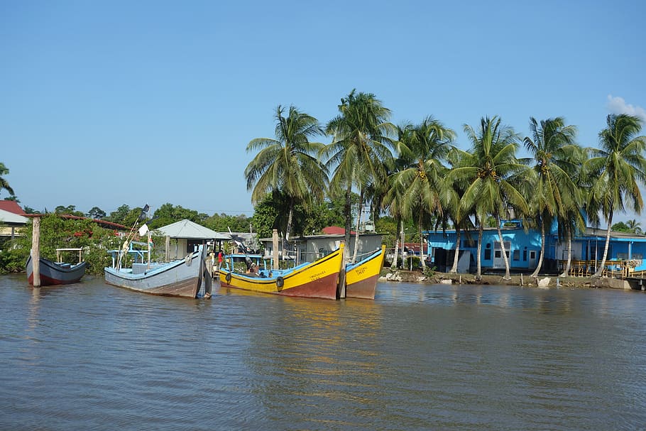 water, boat, travel, vacation, tropical, suriname, river, palm tree, HD wallpaper