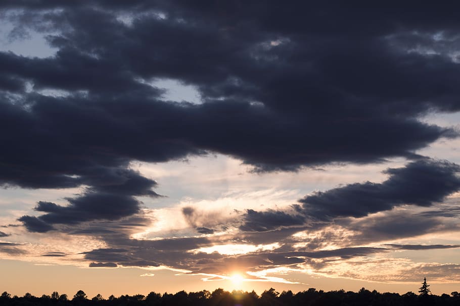 photography of sunrise, silhouette on trees during sunrise, night HD wallpaper