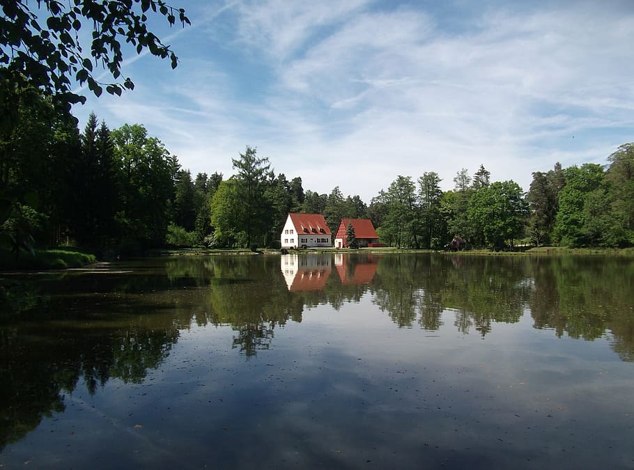 pond, home, mirroring, reflection, water, tree, sky, plant HD wallpaper