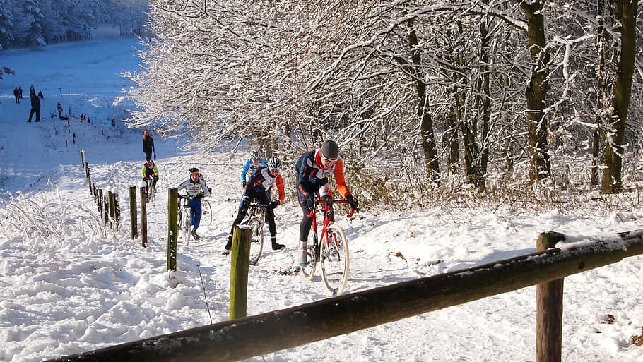 snow, hill, winter, tree, vista, cycling, racing, climbing HD wallpaper