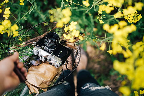 Woman with vintage camera in the field of blooming rapes, summer HD wallpaper