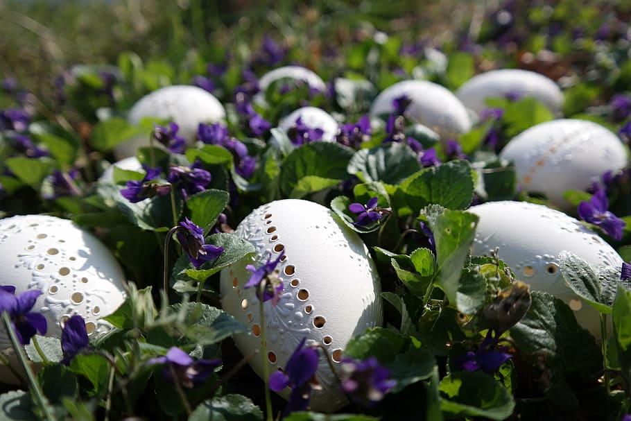 photo of white egg trinkets, easter eggs, violet, nature, springtime HD wallpaper