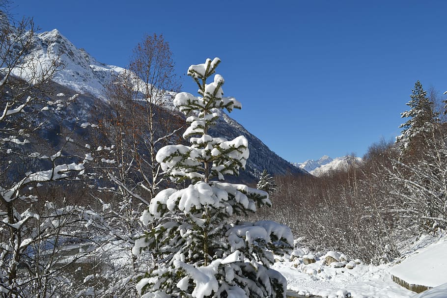 mountains, winter, landscape, trees, nature, snow, cold temperature HD wallpaper