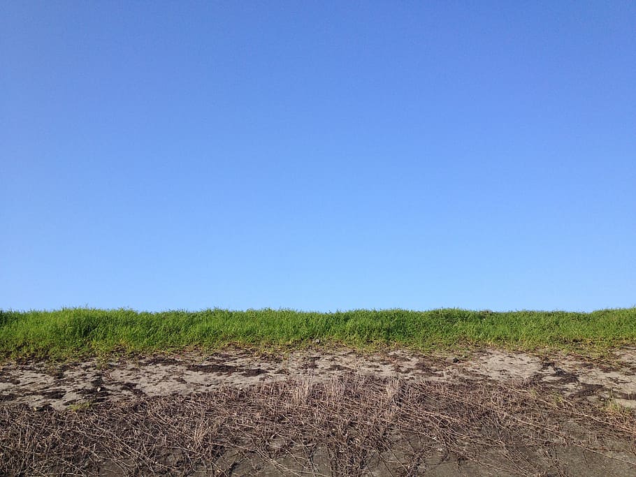 natural, plain, landscape, horizon, green grass, spting, ground HD wallpaper