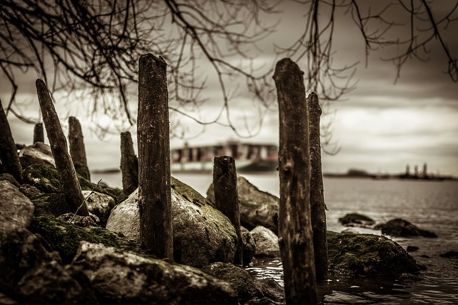 bank, river, container ship, water, riverside, waters, mood HD wallpaper
