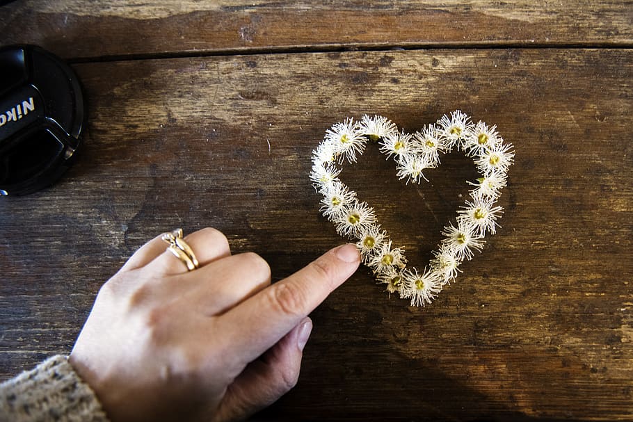 White Flower Forming Heart, camera, close-up, dark, flowers, gold HD wallpaper