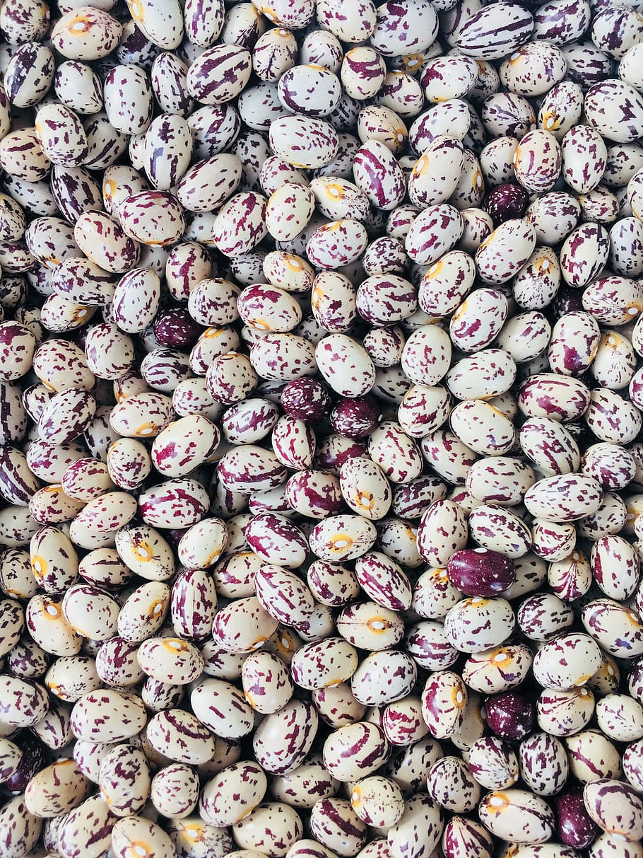 beans, pink, white, poultrymeat sectors codified version, full frame HD wallpaper