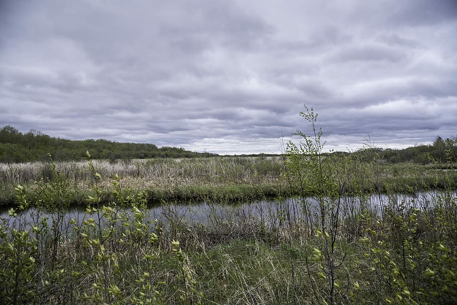 Channel and landscape at Zippel bay State Park, Minnesota, clouds HD wallpaper
