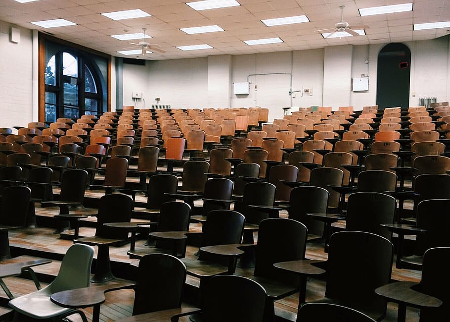 brown wooden armchair lot, classroom, school, education, learning HD wallpaper