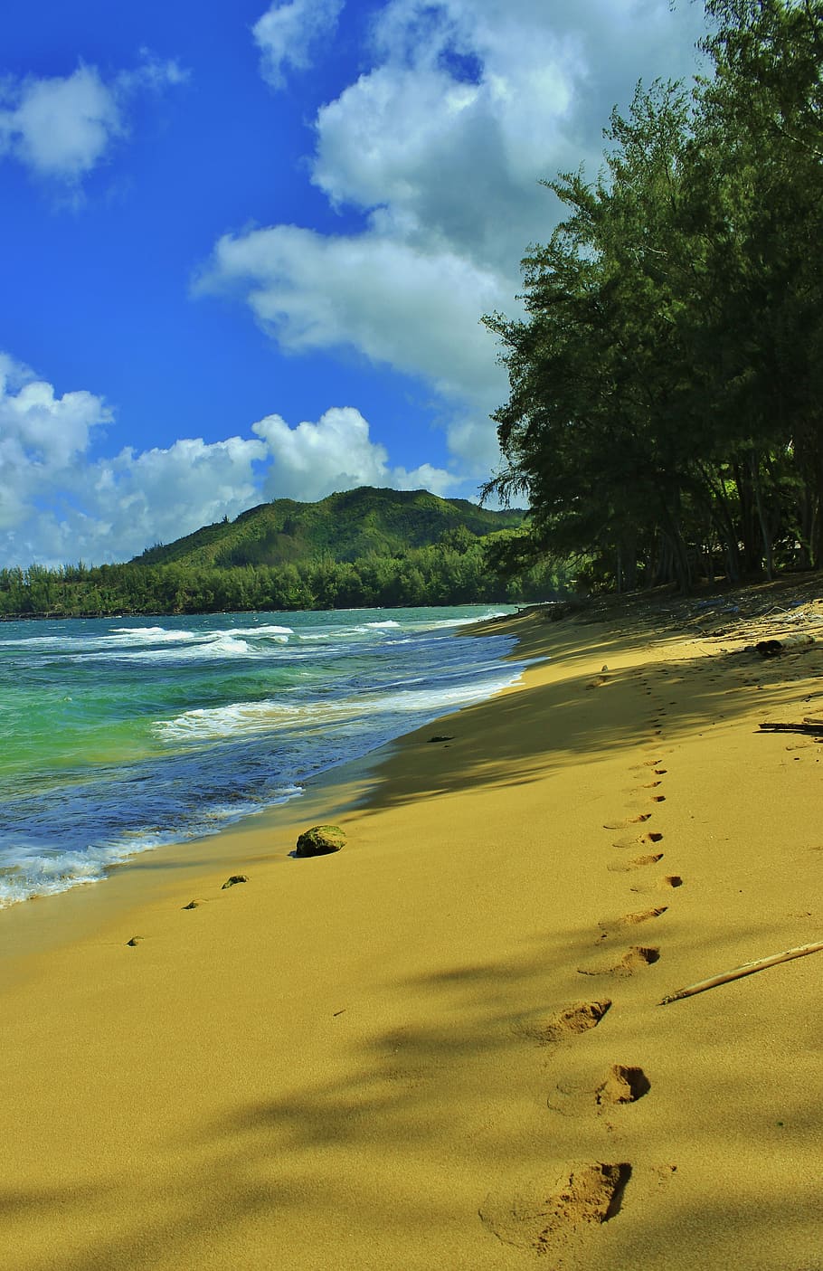 footprints on sea shore, beach, tracks, sandy beach, hanalei HD wallpaper