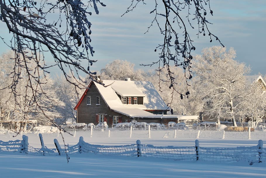 brown house covered with snow surrounded by trees, Winter, Wintry HD wallpaper