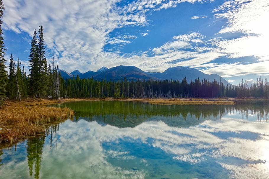 reflection, water, lake, wilderness, landscape, nature, tranquil HD wallpaper