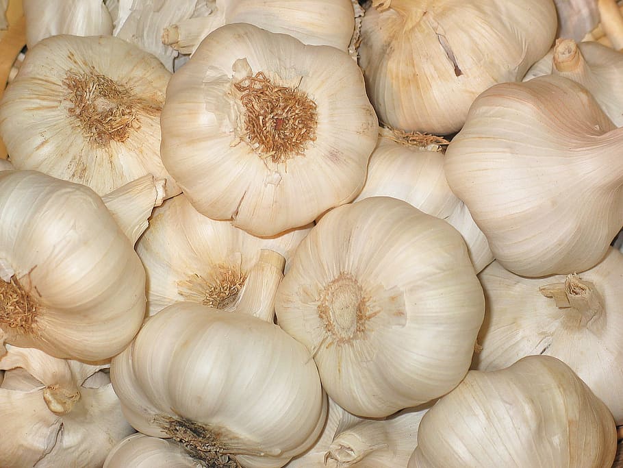 garlic, vegetables, food, sharp, tuber, eat, spice, medicinal plant