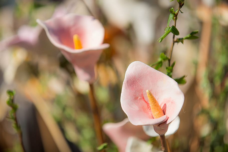 flower, ceramic, blossom, bloom, earthenware, ornamental plant HD wallpaper