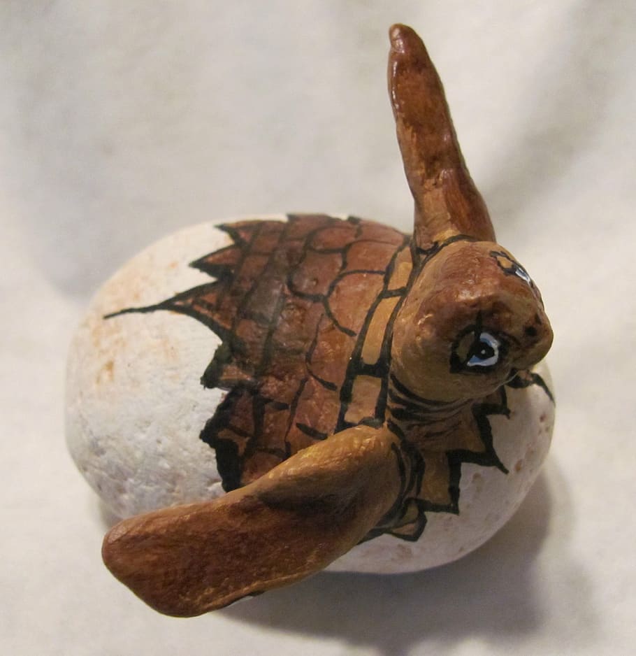 turtle, painted stones, loggerhead, loggerhead turtle, craft HD wallpaper