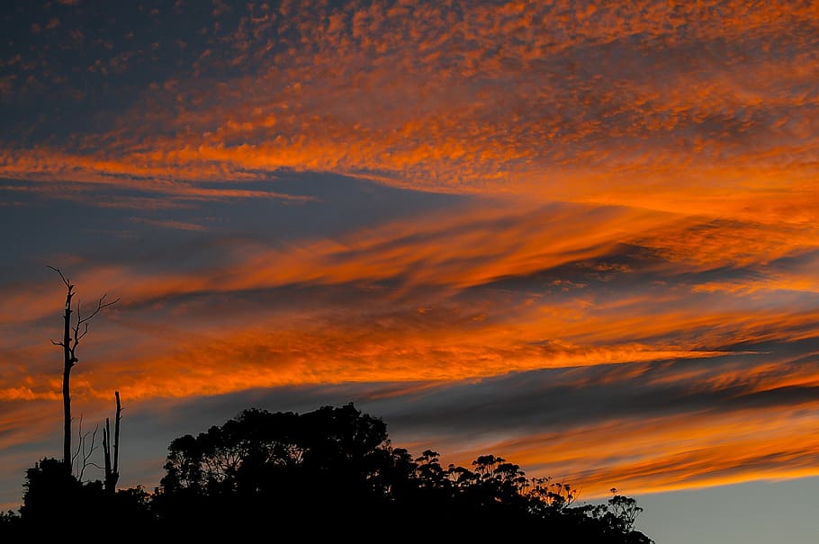 Sunset, Clouds, Orange, sky, grey, australia, horizon, trees HD wallpaper