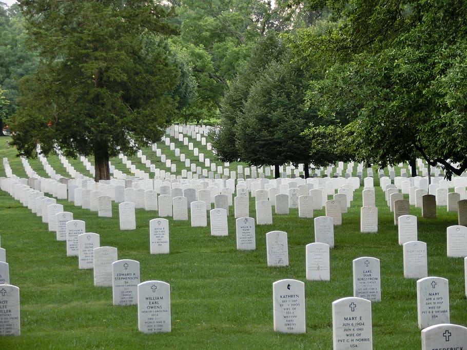 tombstone lot, military cemetery, memorial, usa, washington, united states