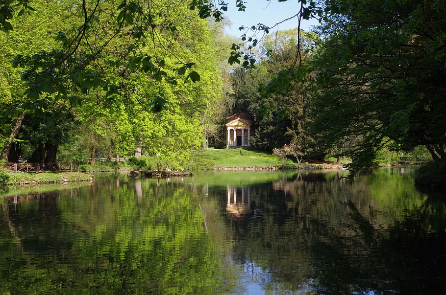 pond, reflections, park, tree, water, plant, lake, nature, tranquility HD wallpaper