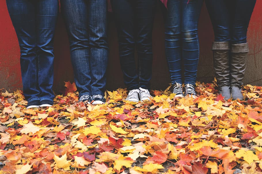 five people wearing blue denim jeans standing near maple leaves, five person standing on maple leaves filled pavement