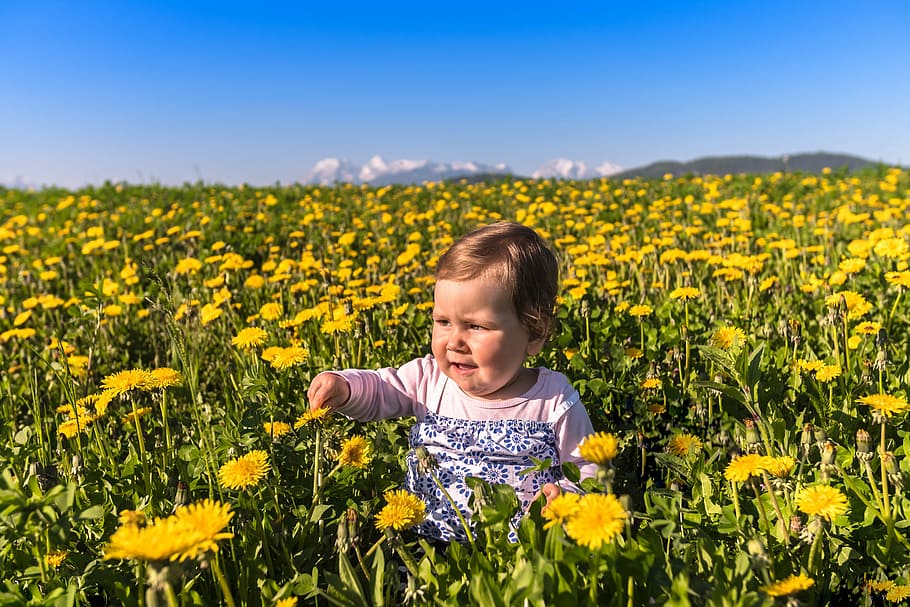 girl sitting on ground surrounded by yellow petaled flowers, nature