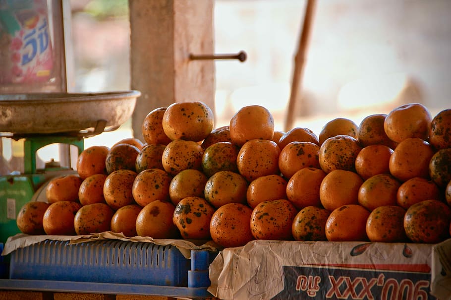 orange fruit lot, depth of field photography of bunch of orange fruits HD wallpaper