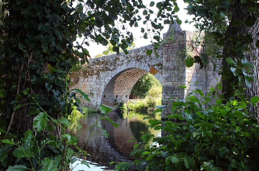 bridge, landscape, river, weed, plant, built structure, architecture HD wallpaper