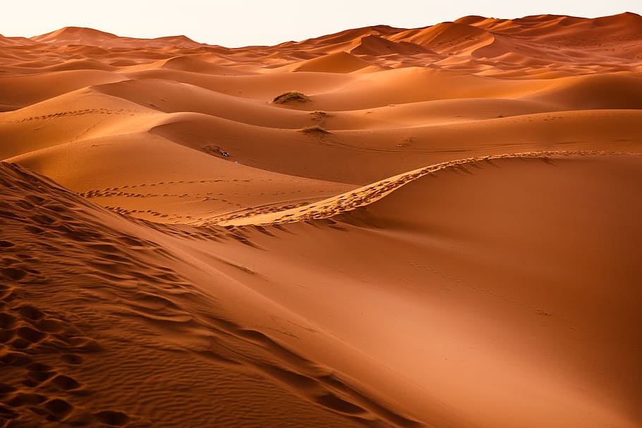 brown desert, morocco, sand dune, dry, landscape, environment HD wallpaper