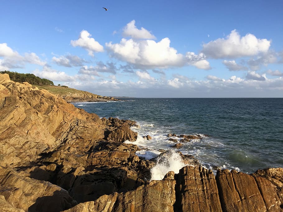 Sea, Rock, Brittany, Cloud, Bird, side, ocean, scum, view, sky HD wallpaper