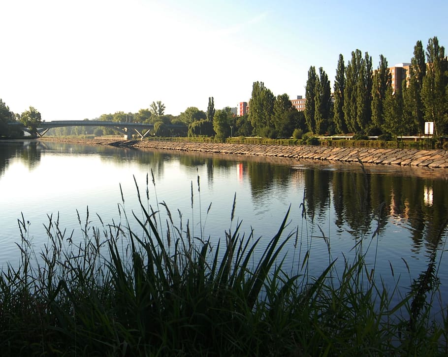 river, water, grass, dam, plant, reflection, lake, sky, tranquility HD wallpaper