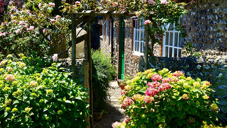 nature, flowers, house, petals, backyard, bloom, blooming, decoration HD wallpaper