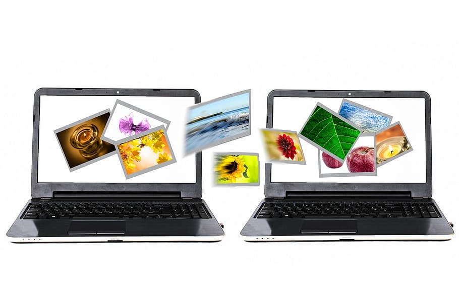 two black laptop computers, photos, sharing, transfer, internet HD wallpaper