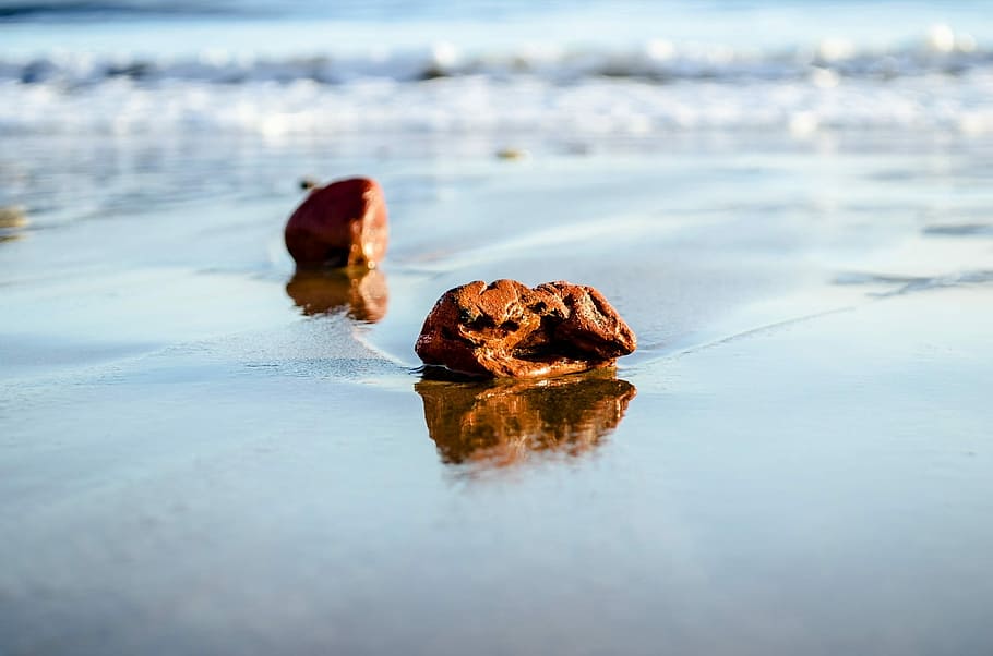 Beach, Calm, Close-Up, Desolate, bright, harmony, nature, pattern HD wallpaper