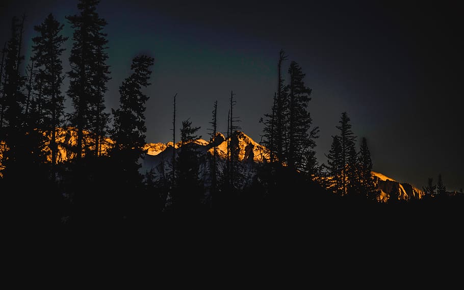nature, landscape, mountains, trees, sun, sunlight, plant, silhouette HD wallpaper