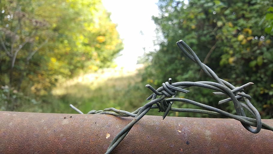 barbwire, fence, fields, focus on foreground, tree, plant, day HD wallpaper