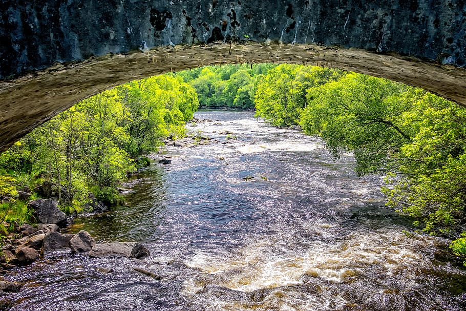 water flow between green leave trees, River, Bridge, Scotland HD wallpaper