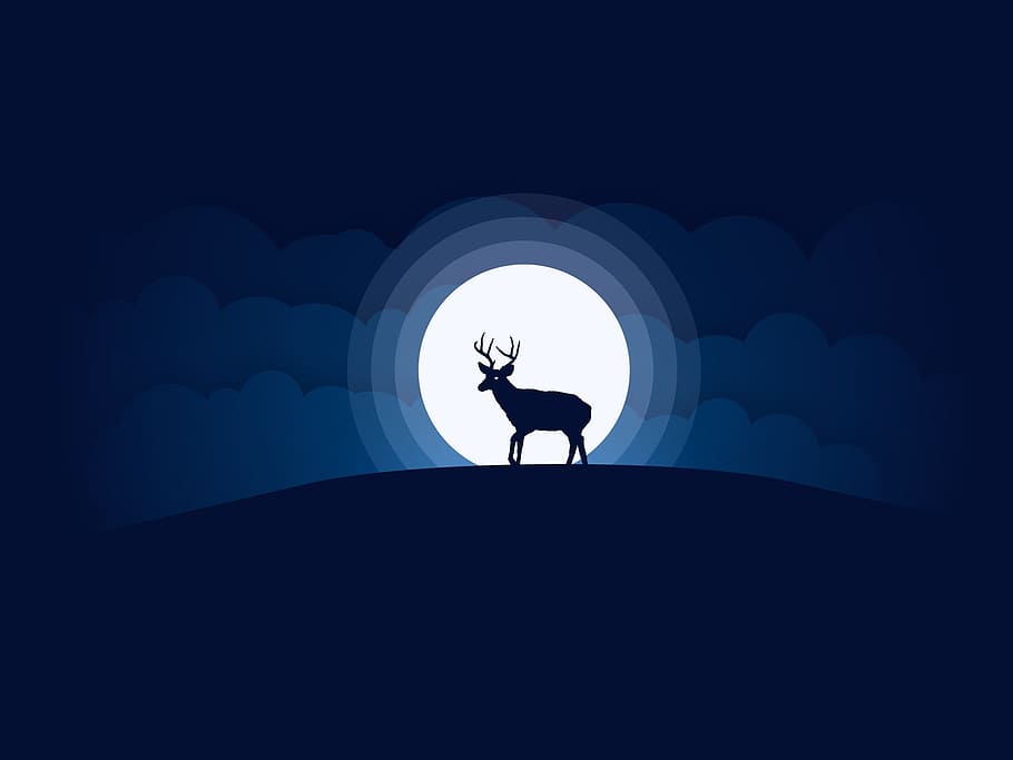 moon, deer, sky, animal, silhouette, night, wildlife, black, HD wallpaper