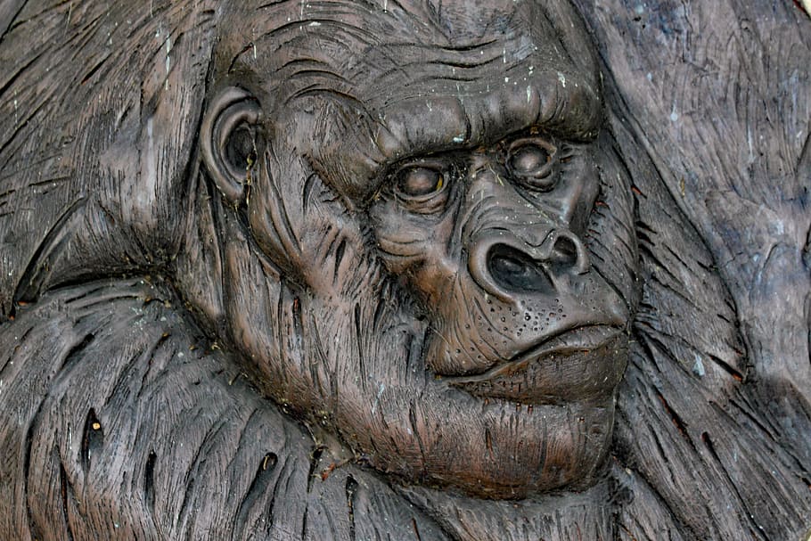 Gorilla, Monkey, Carving, Wooden, Plaque, primate, wildlife HD wallpaper