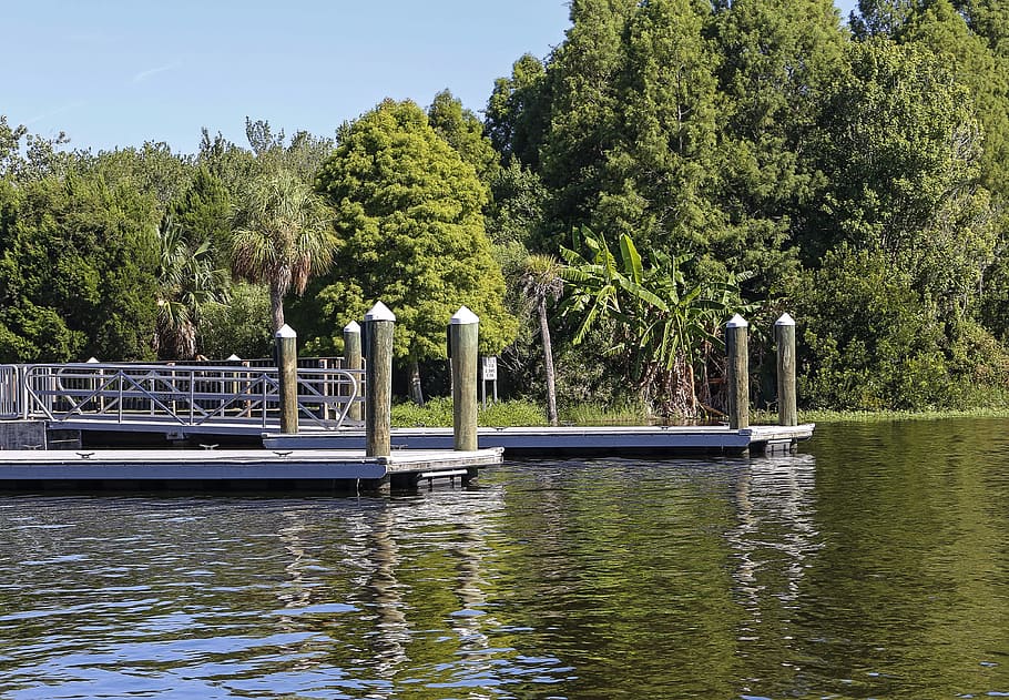Jetty, River, Forest, Landscape, Trees, park, florida, usa HD wallpaper