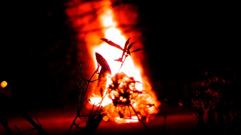 fire, radio, flame, burn, wood fire, brand, embers, heat, hot HD wallpaper