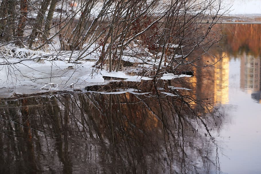 ice, mirror, tree, house, cold temperature, snow, winter, water HD wallpaper