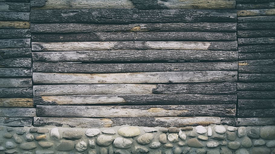 tree log board, wood, material, logs, texture, pattern, surface HD wallpaper