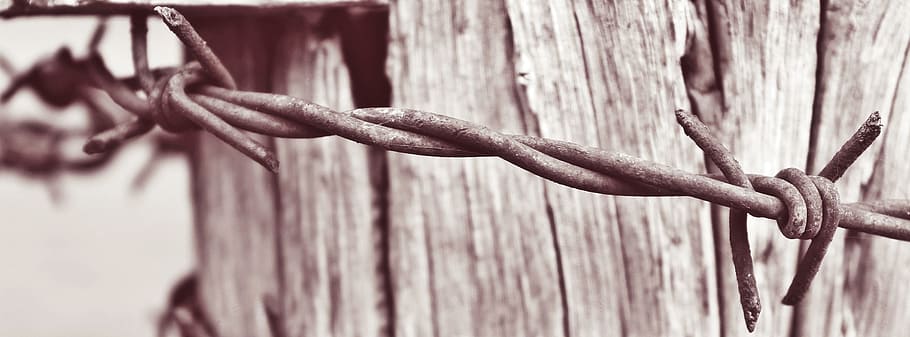 photography of barb wire, wire fence, post, demarcation, pasture, HD wallpaper